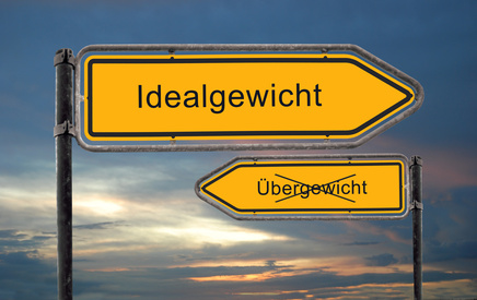 Idealgewicht berechnen